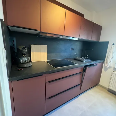 Rhein-neckar-apartments Mannheim 別荘 *