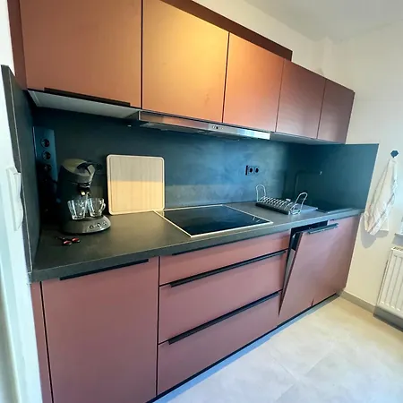 別荘 Rhein-neckar-apartments Mannheim フィールンハイム